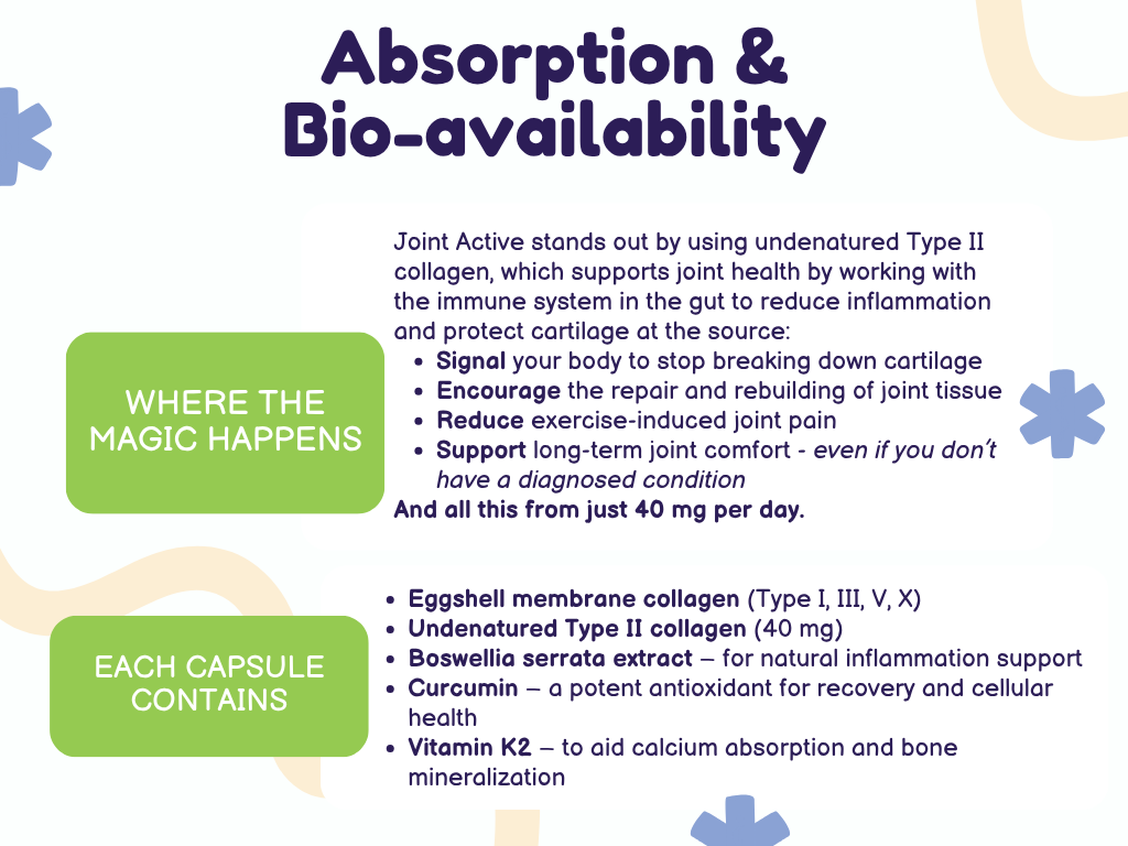 Vitadurance - Joint Active (30 Capsules)