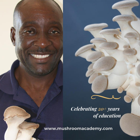 mushroomacademy.com