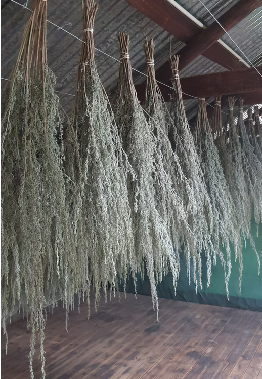 The Ingredients Behind Stone Bridge Herbal