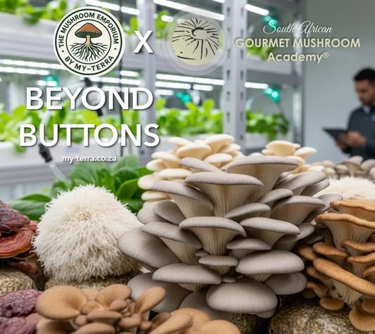Beyond the Button: The Non-Agaricus Revolution