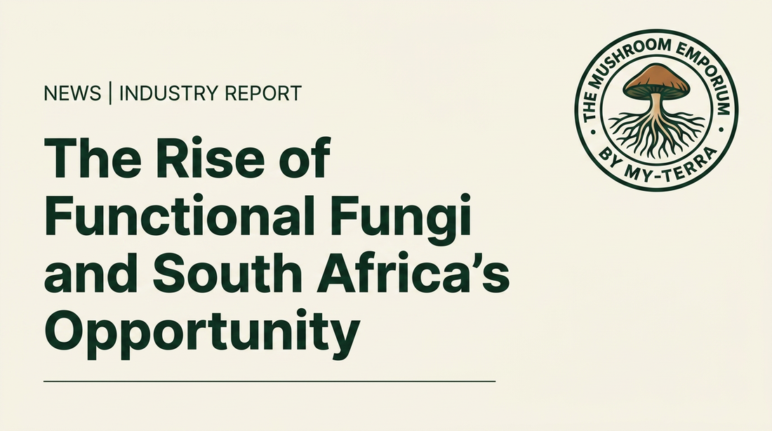 The Rise of Functional Fungi and South Africas Opportunity