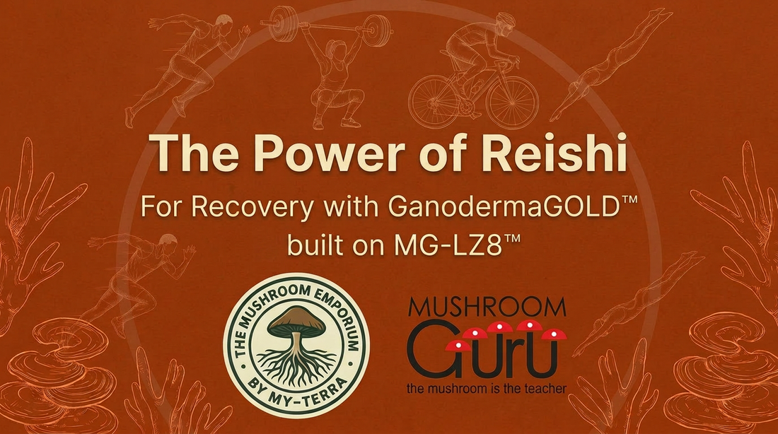The Power of Reishi: For Recovery with GanodermaGOLD™