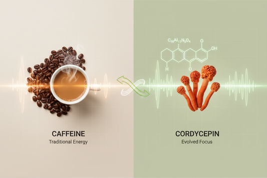 Cordycepin Is the NEXT Caffeine