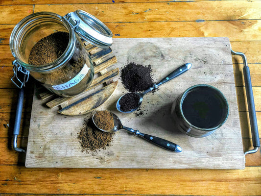 chaga-mushroom-tea