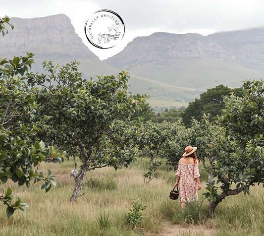 Naturally Untitled on My-Terra