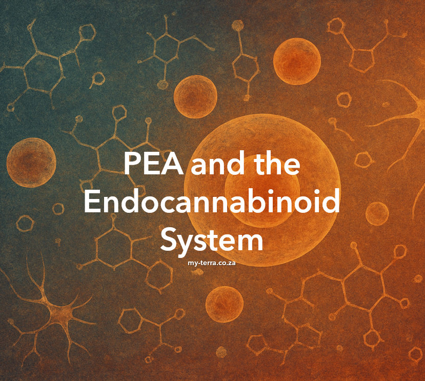 PEA and the Endocannabinoid System