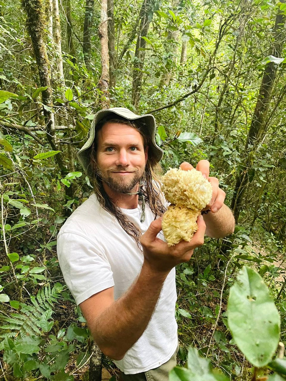 Foraging South Africa's Forests: Unveiling the Fungal Tapestry with Harmonic Mycology