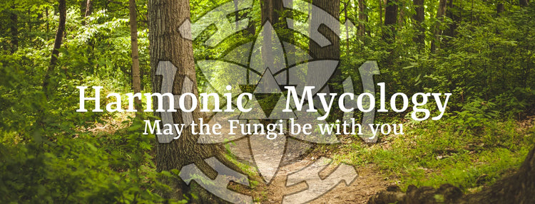 Harmonic Mycology