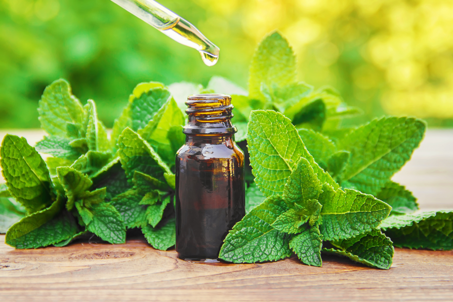 mint-serum