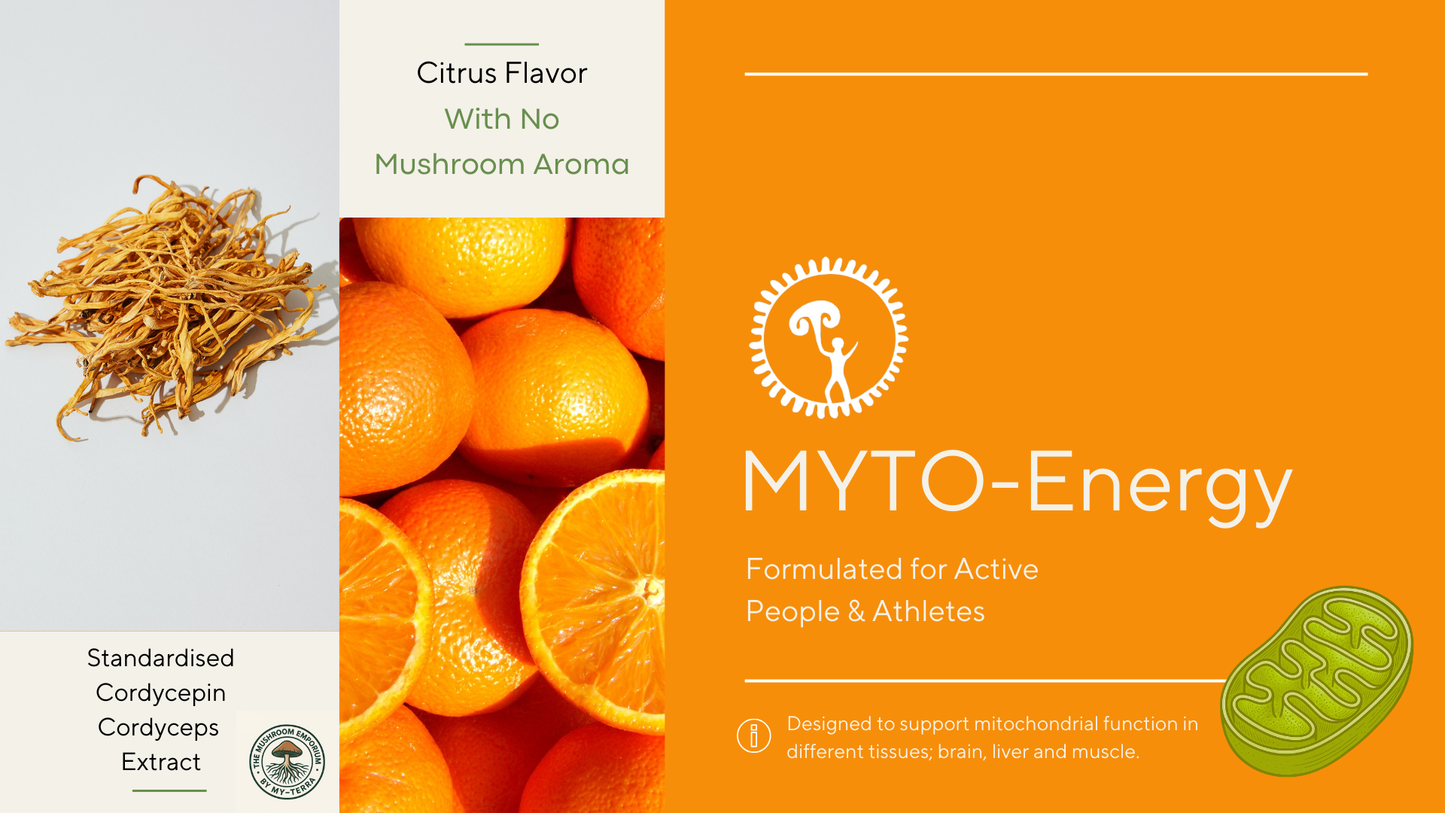 MYTO-Energy