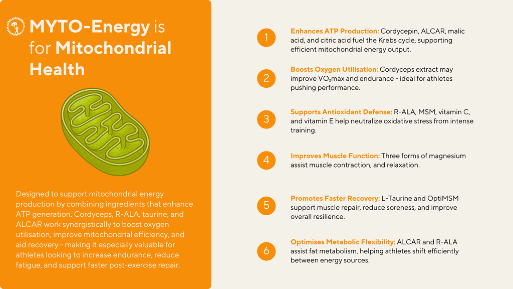MYTO-Energy
