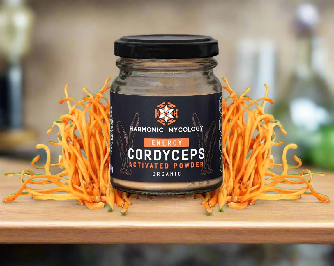 Cordyceps powder 50g