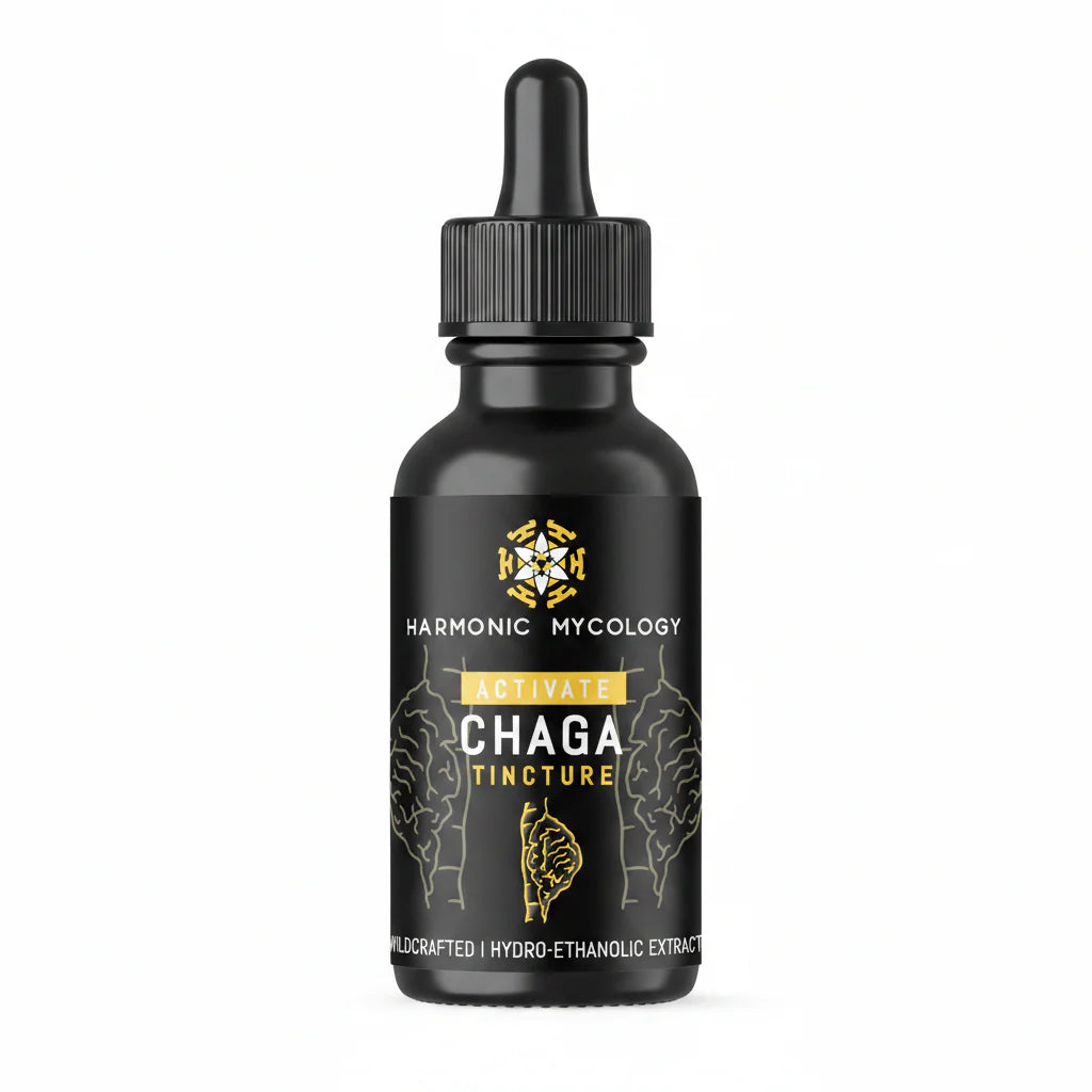Harmonic Mycology - Chaga extract (50ml)